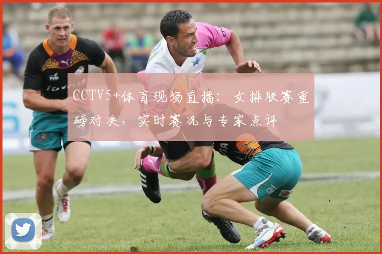 CCTV5+体育现场直播：女排联赛重磅对决，实时赛况与专家点评