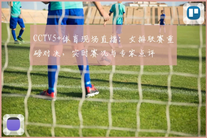 CCTV5+体育现场直播：女排联赛重磅对决，实时赛况与专家点评