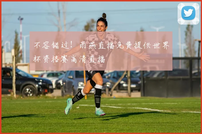 不容错过！雨燕直播免费提供世界杯资格赛高清直播