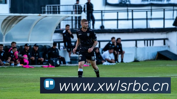 开云在线登录入口官网平台生态图