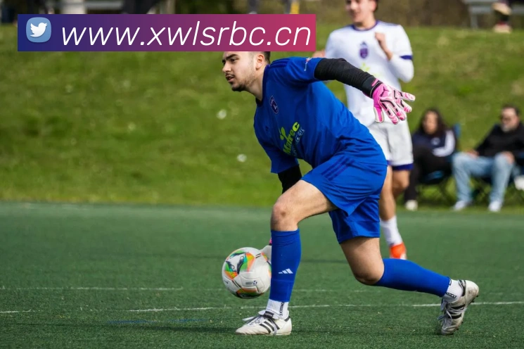 开云在线登录入口官网全站App